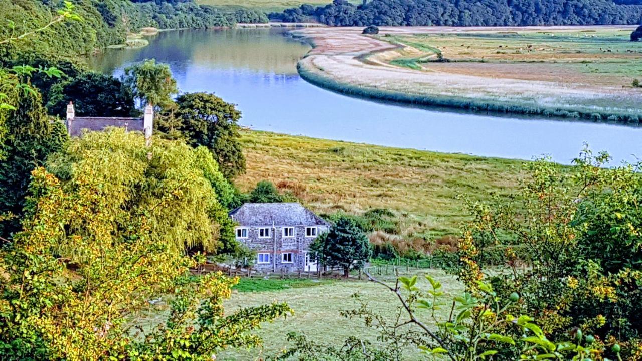 Driftwood Cottage - B&B Yelverton