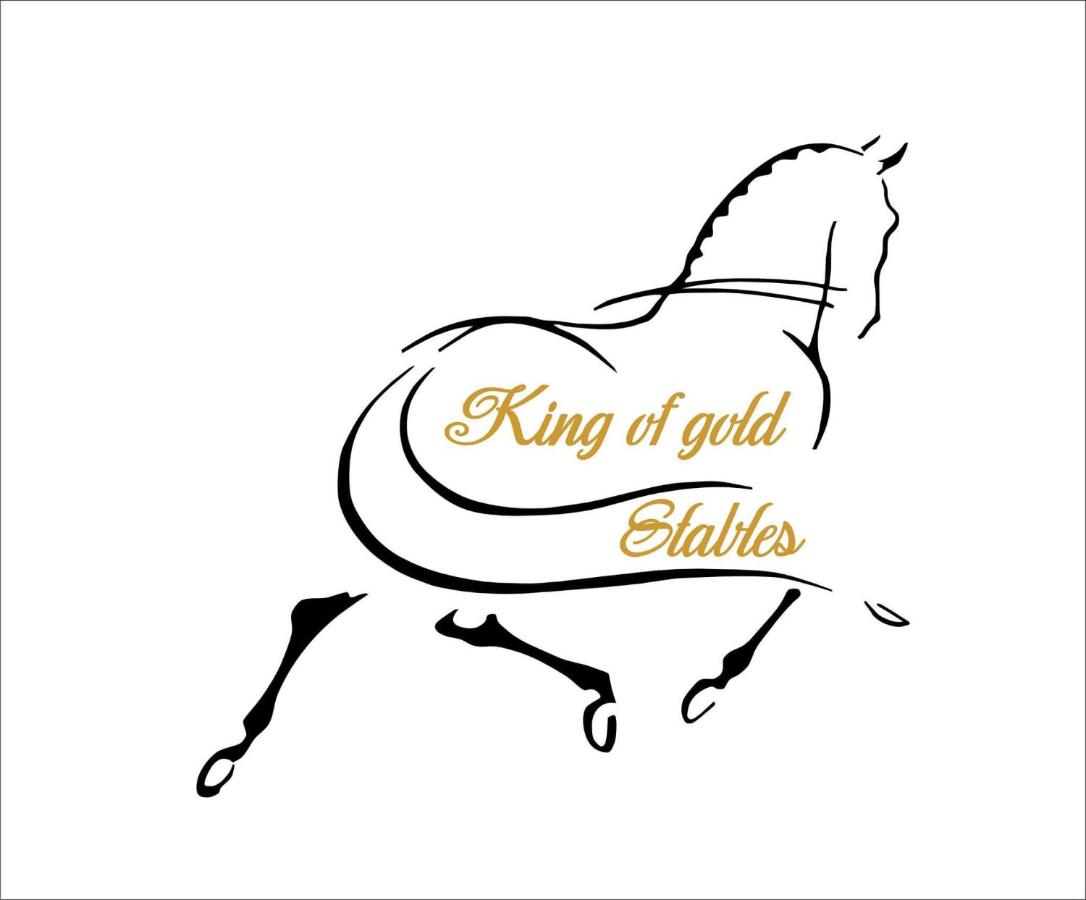 B&B Zutendaal - King of Gold Stables appartement met stalling voor 5 paarden - Bed and Breakfast Zutendaal