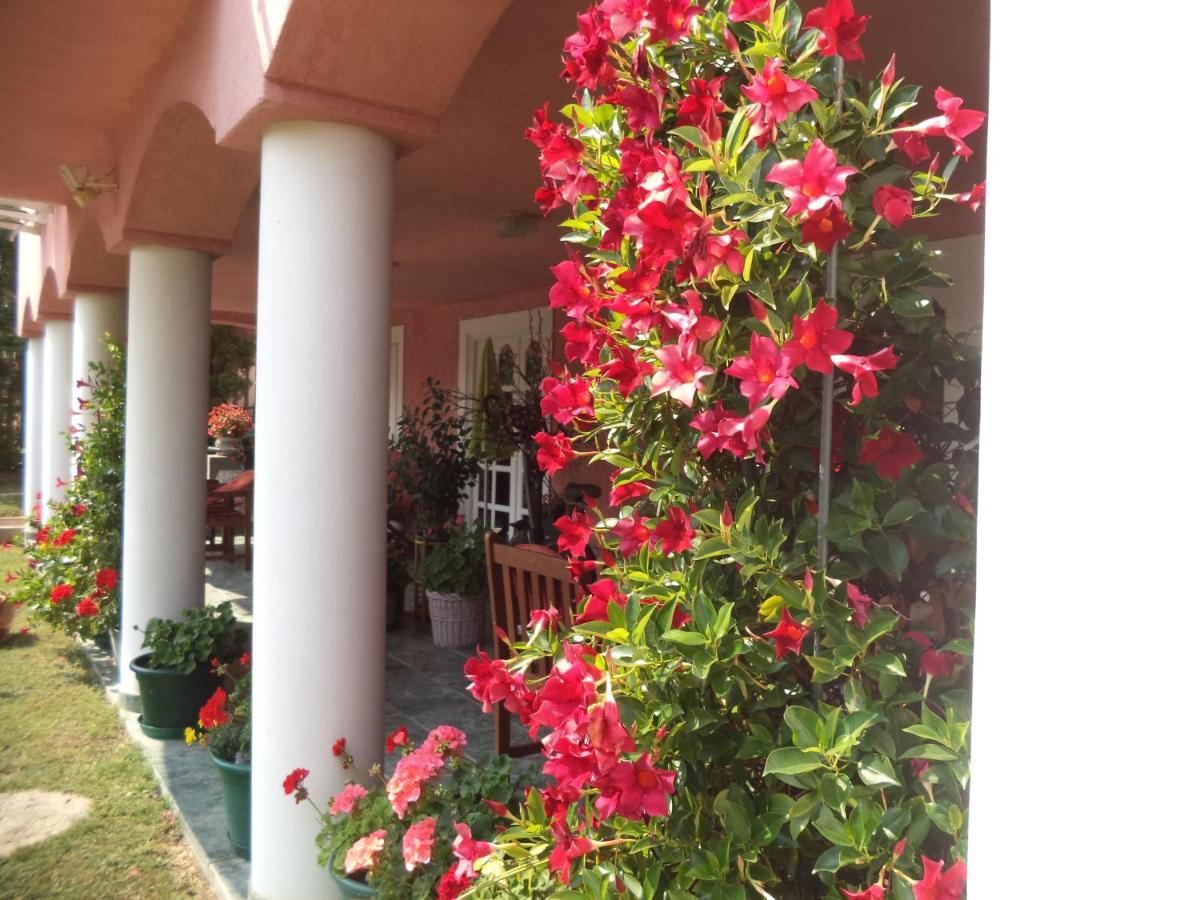 Maria Apartman - B&B