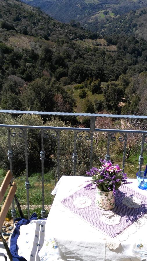 B&B Seulo - Stellaria casa vacanze in montagna panorama stupendo Sardegna - Bed and Breakfast Seulo