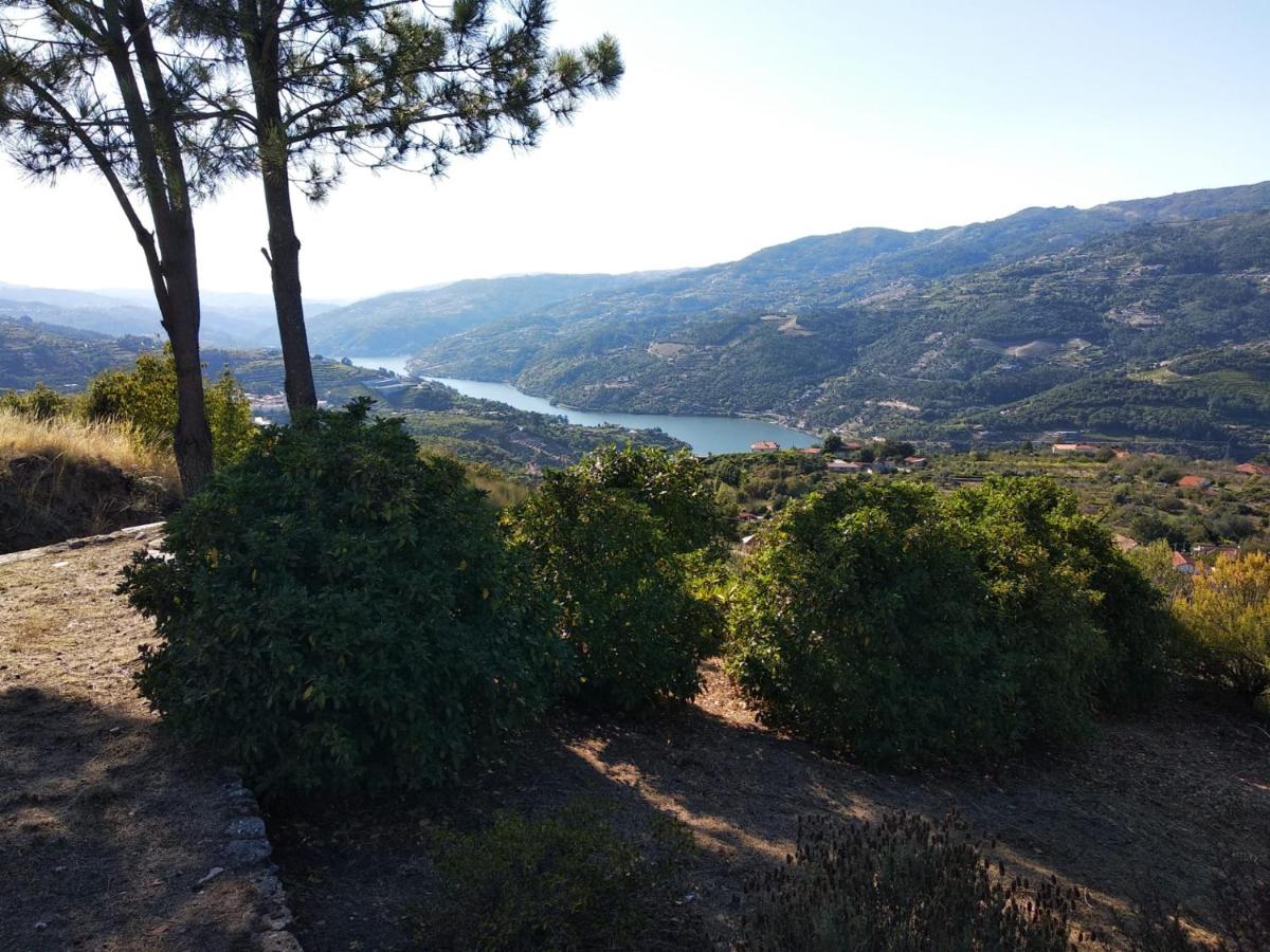 B&B Resende - Paraíso Hills - Encostas do Paraíso: tranquilidade no Douro - Bed and Breakfast Resende