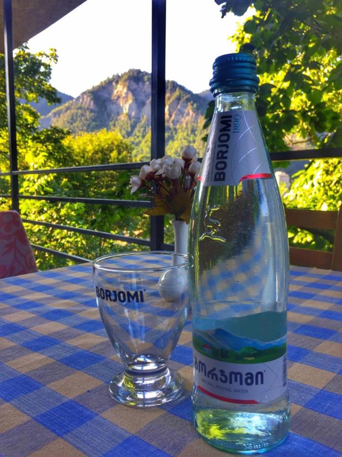 Borjomi Veranda - Bed and Breakfast