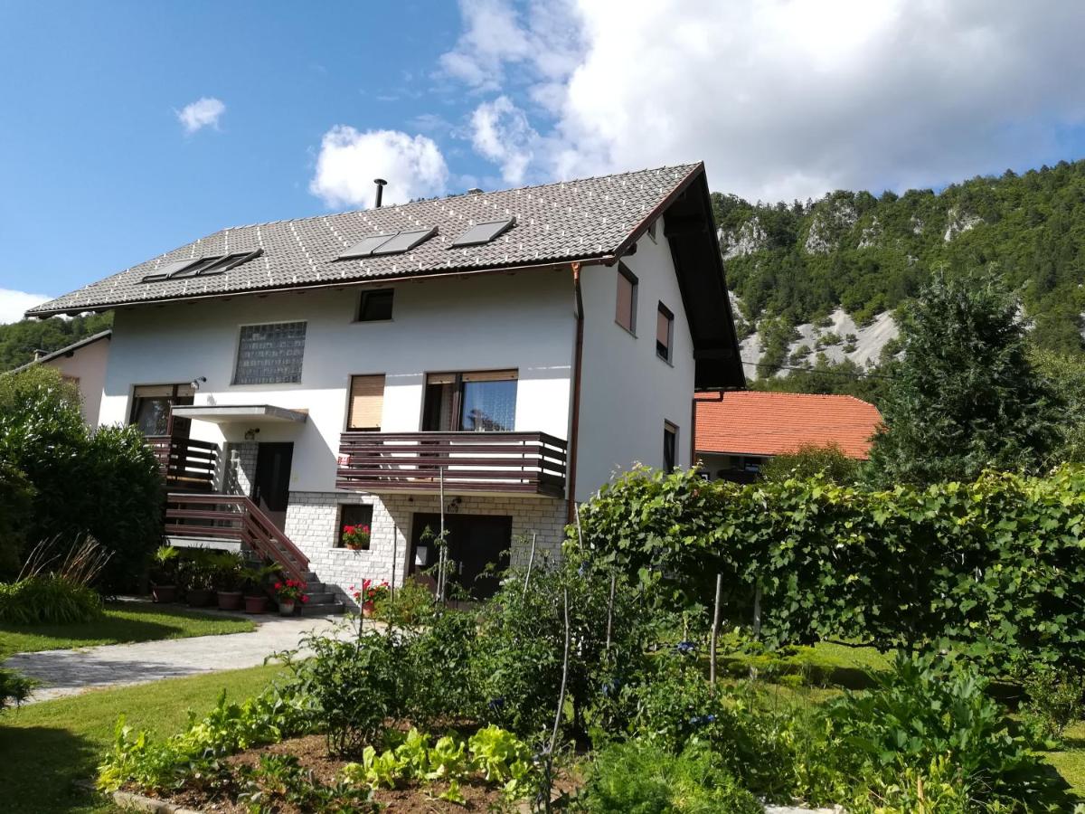 Apartment Ajdna - Bed and Breakfast