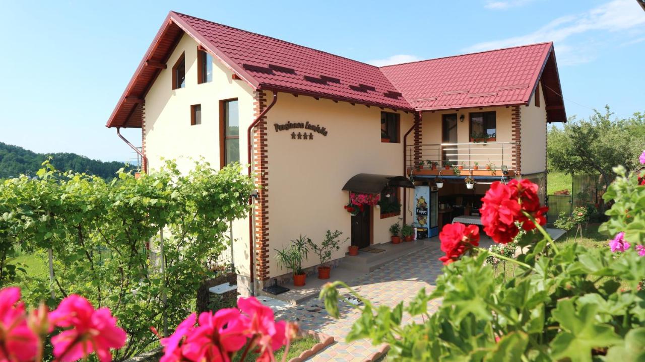 B&B Mustățești - Pensiunea Luminita - Bed and Breakfast Mustățești