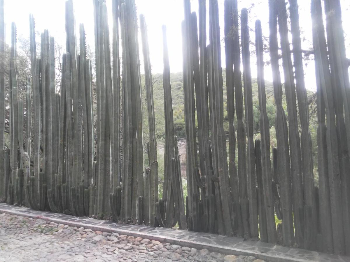 Casa de Cactus - B&B Bernal