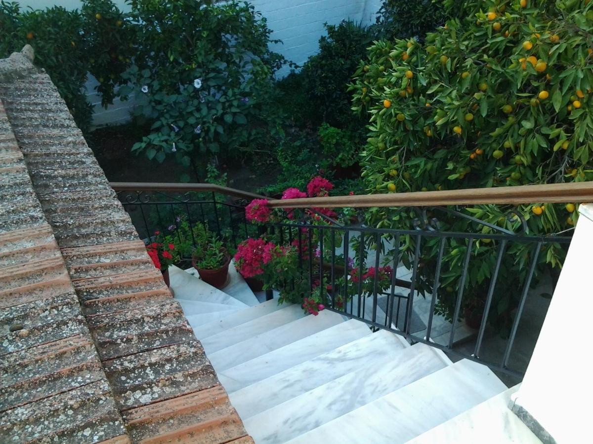 Studios Maro - B&B Skala Kallonis
