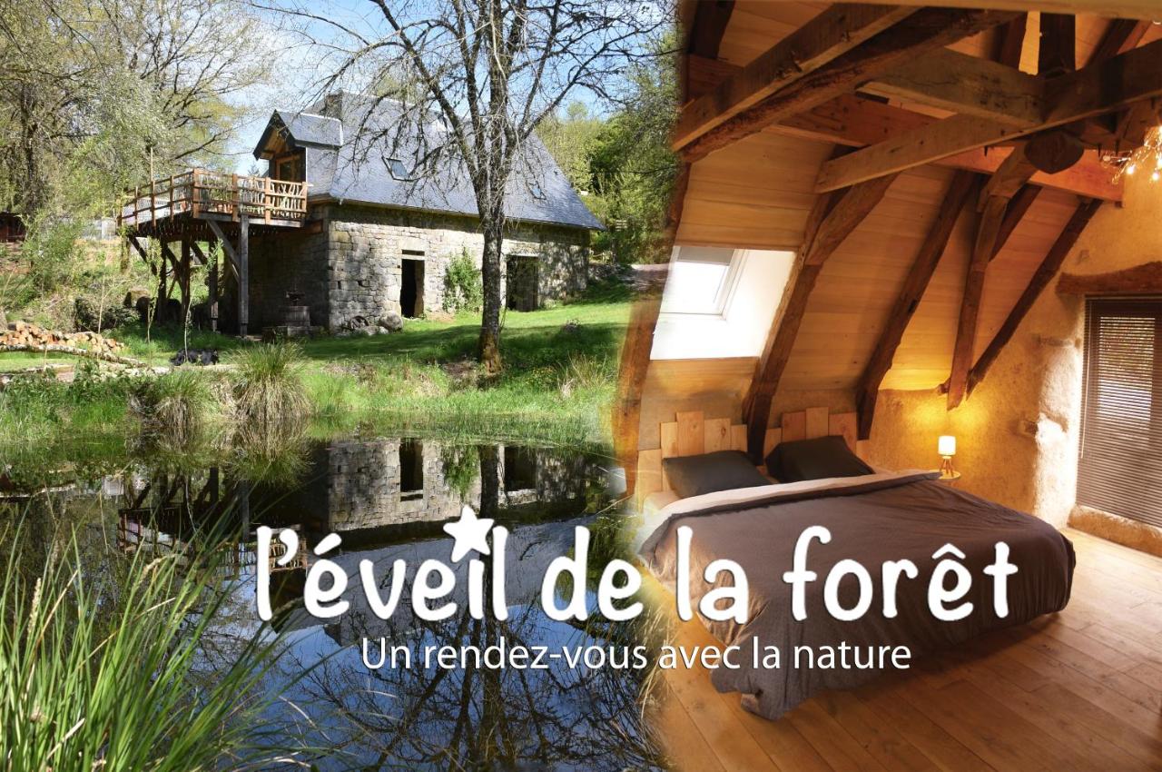 Gîte Nature Le moulin - B&B