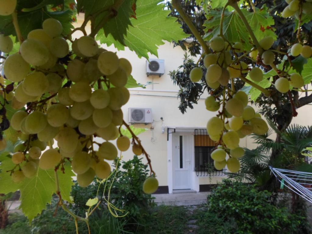 Apartman Lucio - B&B