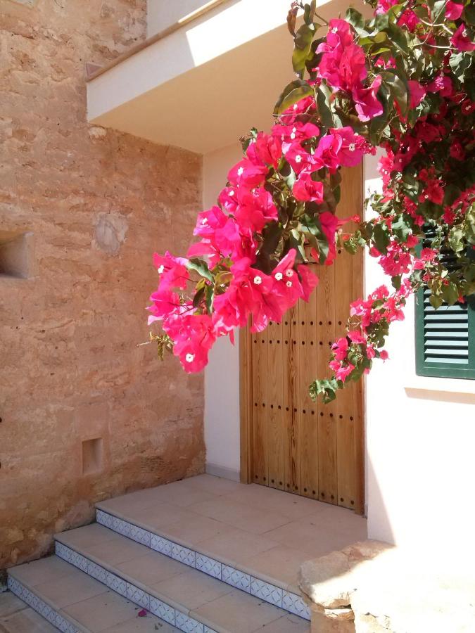 Son Coves Petit - Chambres d’hôtes