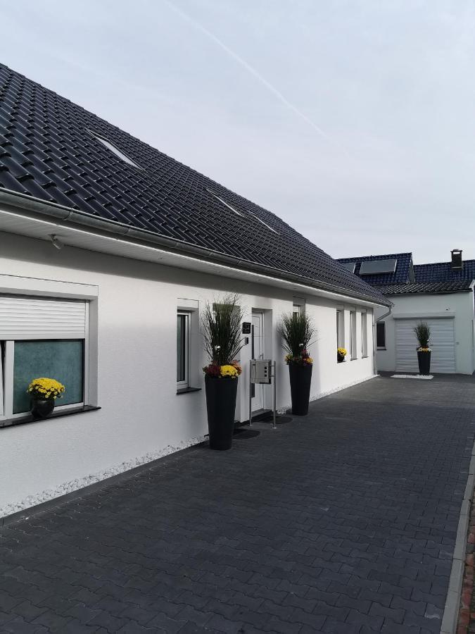 Studio met Terras