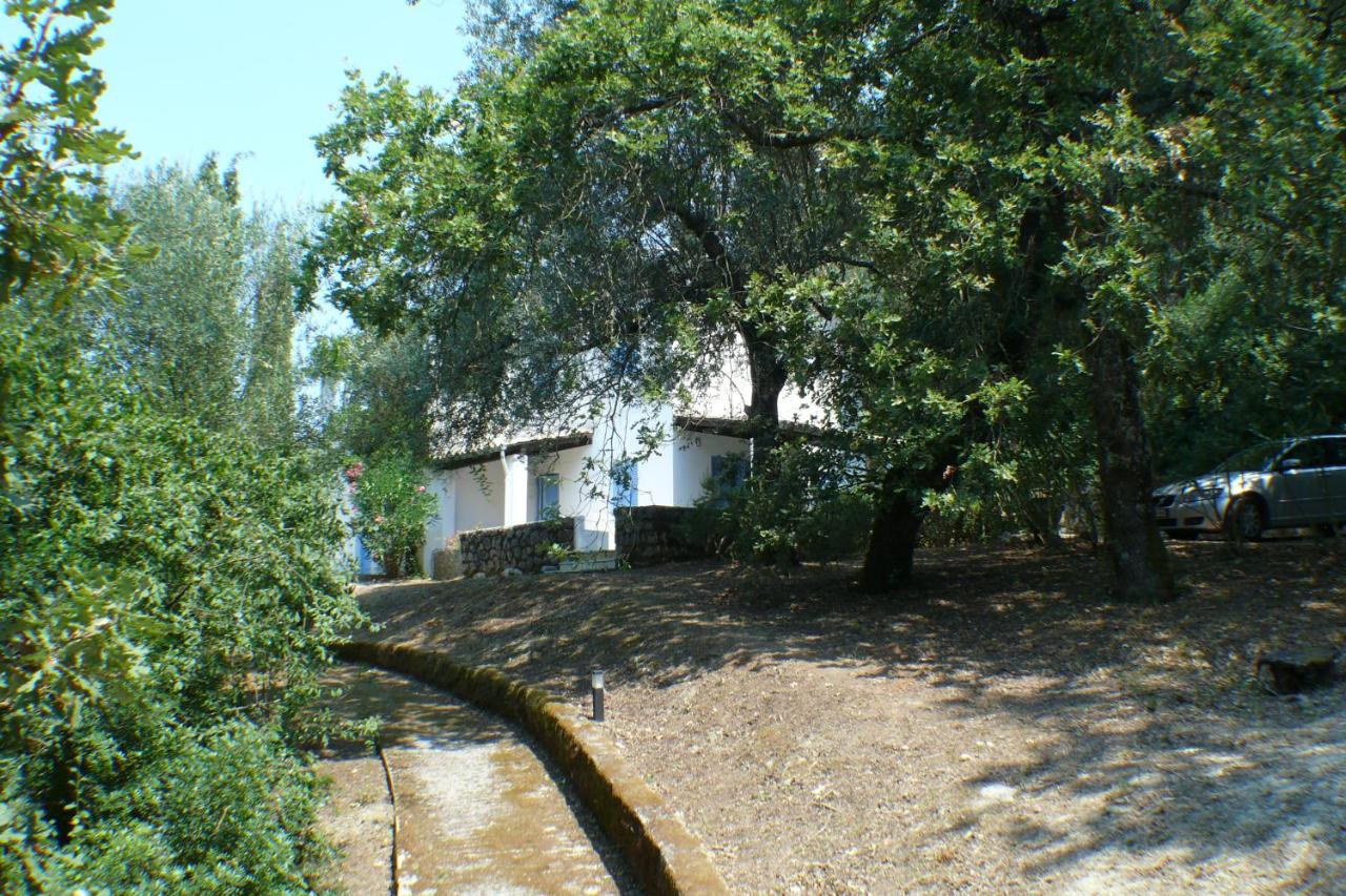 Alexandra villas - Ferienwohnung