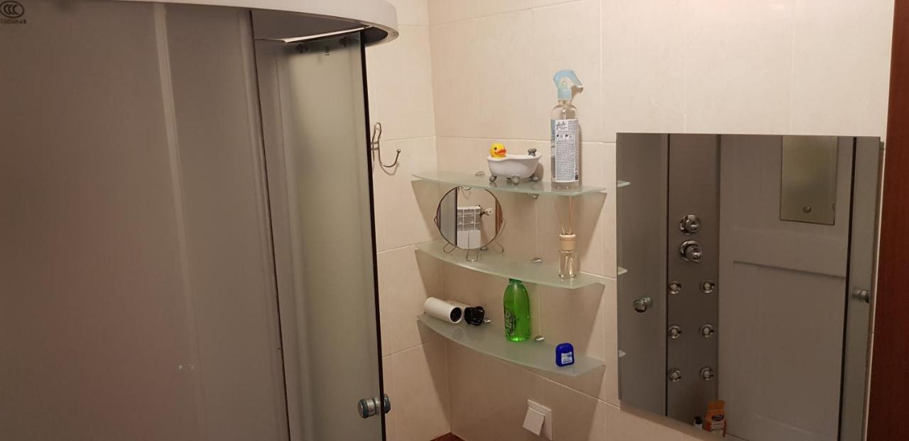 GoraTwins guest house near Boryspil airport - Ferienwohnung Hora