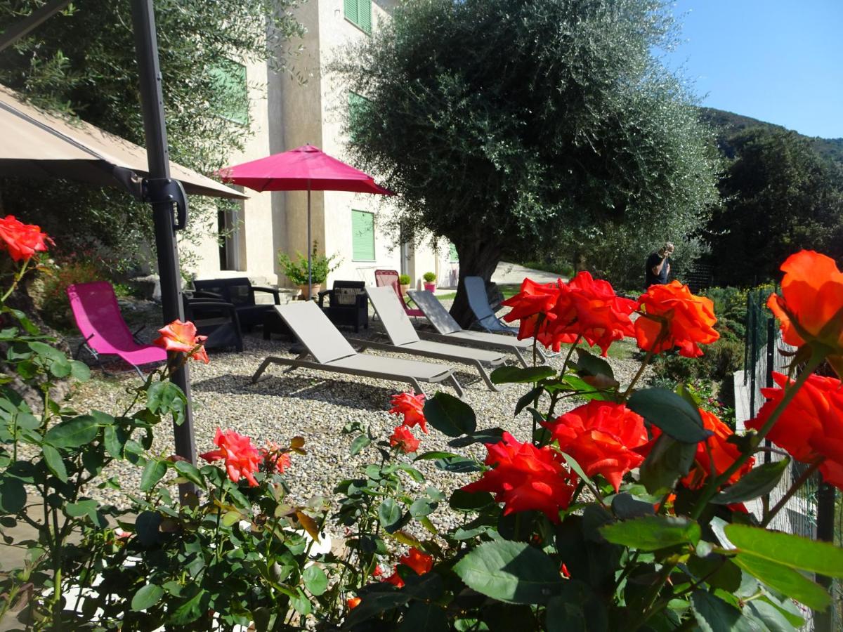 B&B Farinole - location farinole proche saint-florent - Bed and Breakfast Farinole