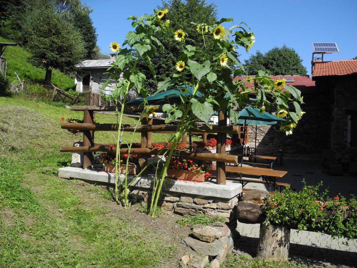 Agriturismo Piccolo paradiso - B&B Pianello del Lario