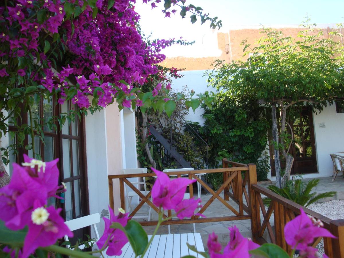 Finca Can Pepis - Bed and Breakfast