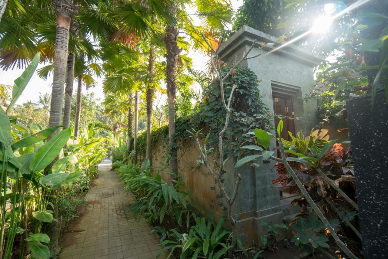 Deluxe Villa met 1 Slaapkamer en Privézwembad 