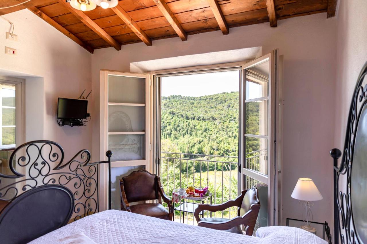 King Room with Garden View