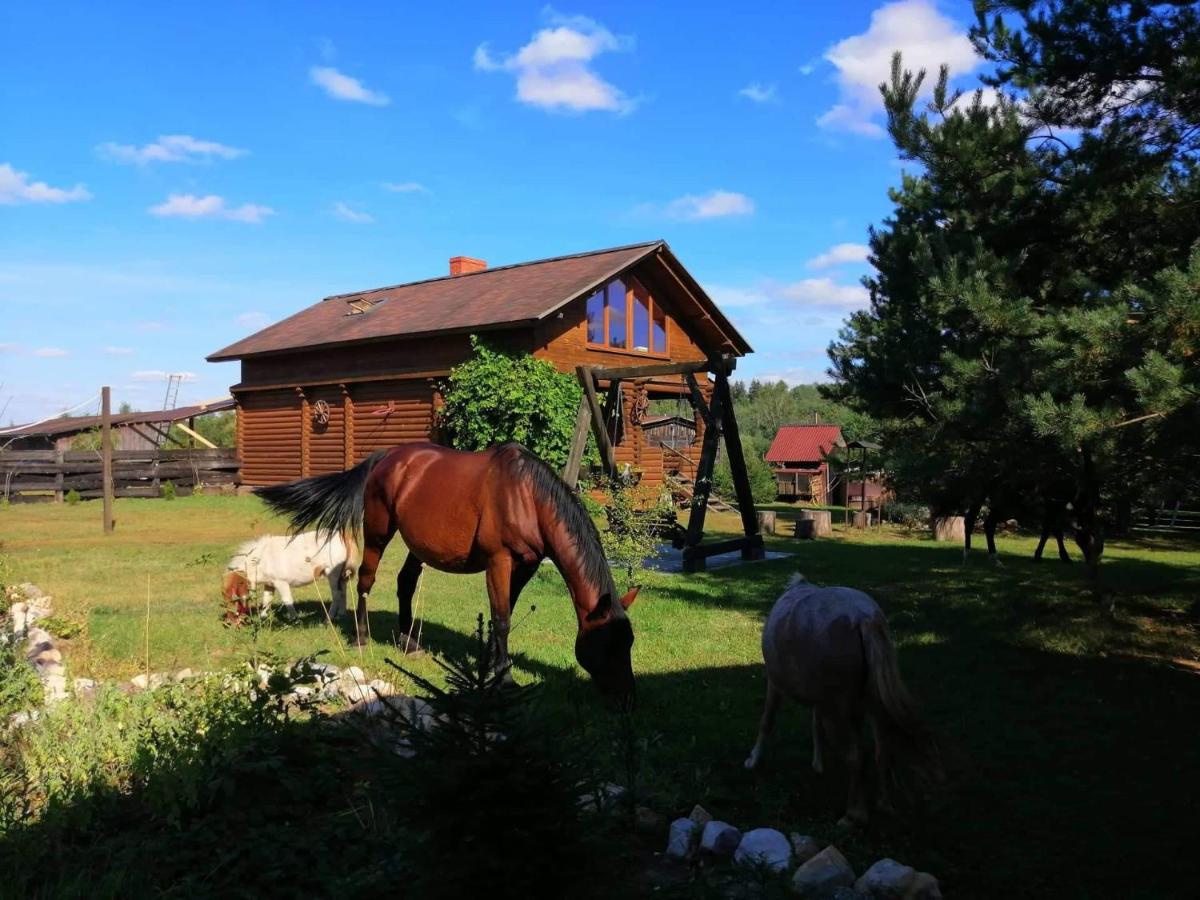 B&B Tīnūži - Skaistkrasti - Bed and Breakfast Tīnūži