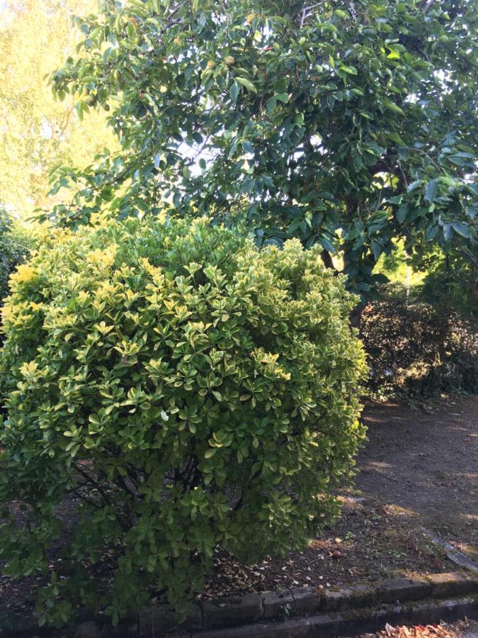 chambre double avec salle de bain privative - B&B Cognac