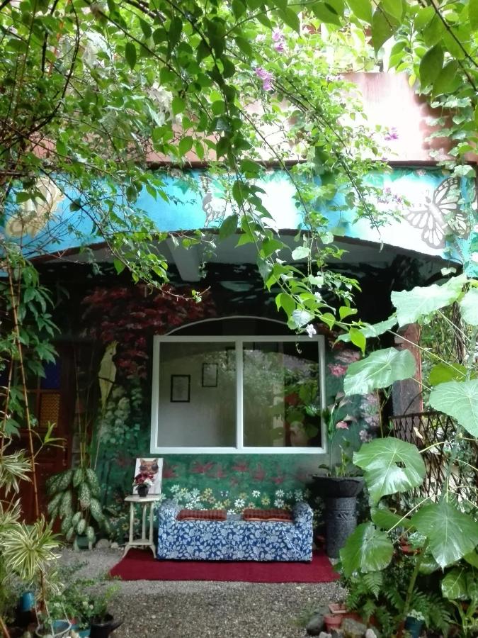 Toni Arts Villa - B&B Nabas