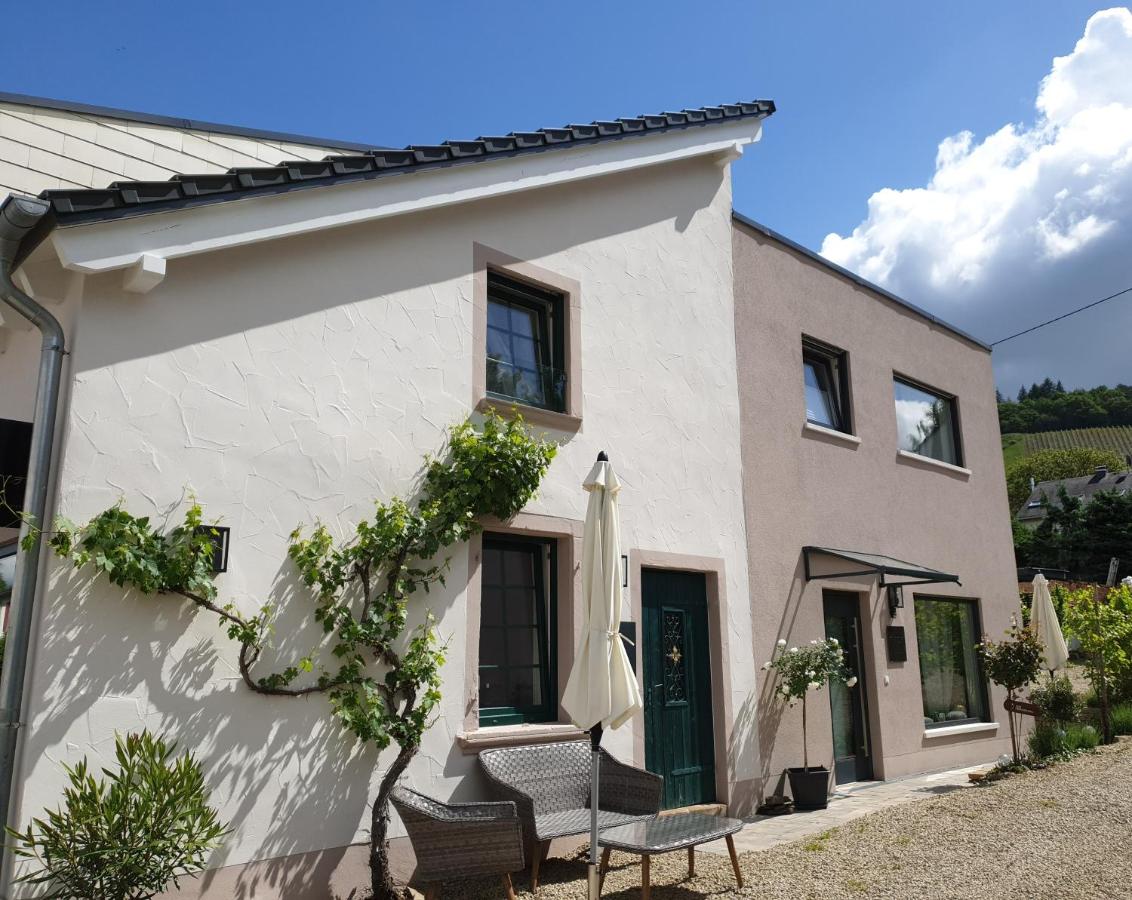 Zur alten Rebe Ferienhaus und Weingut - B&B Konz