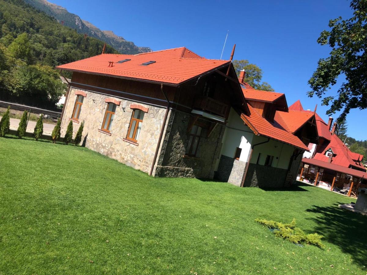 Pensiunea Piscul Cainelui - B&B