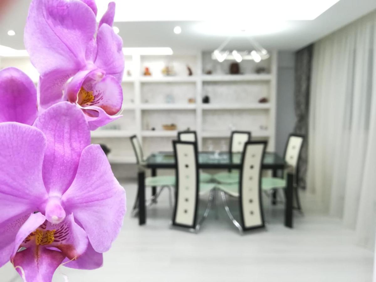 Paradise Apartment - B&B Braşov