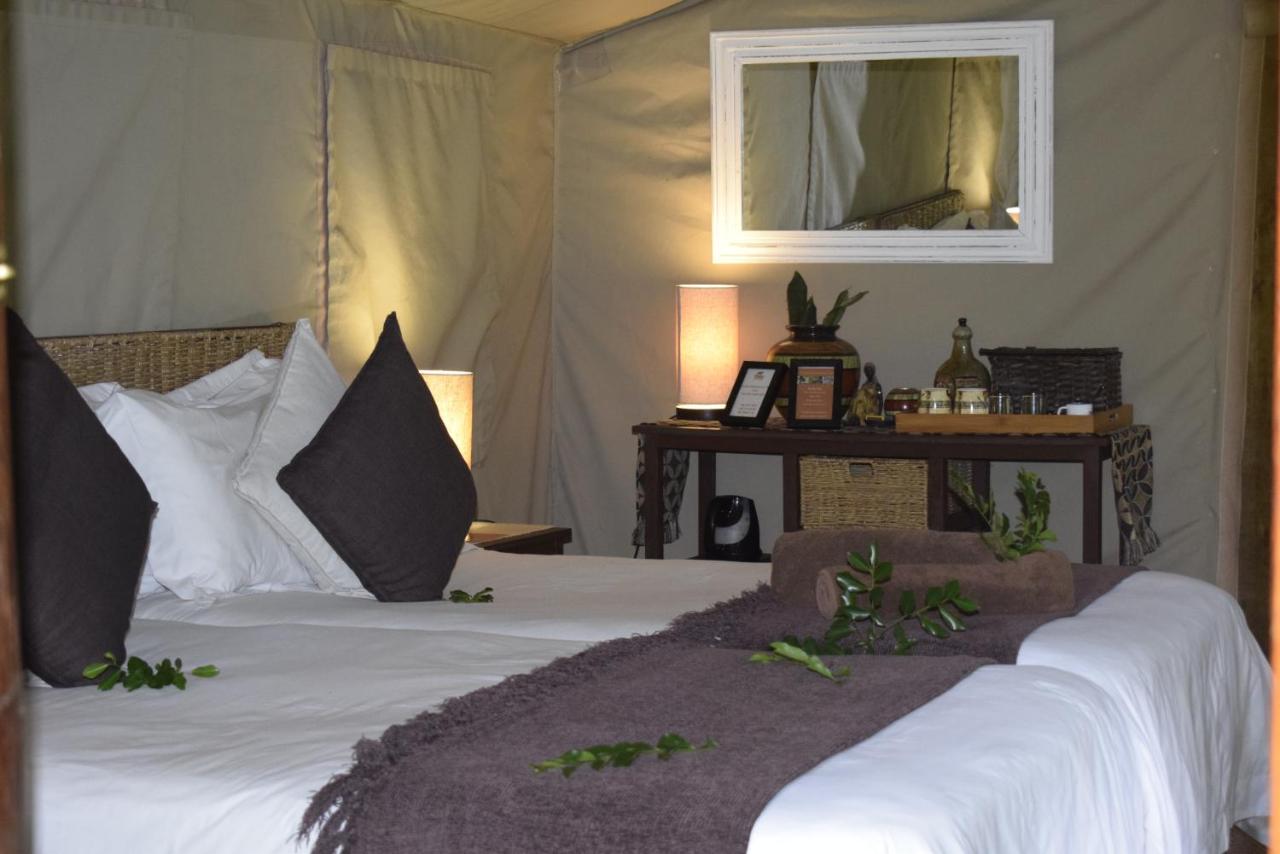 Twin Safari Tent (TS15)