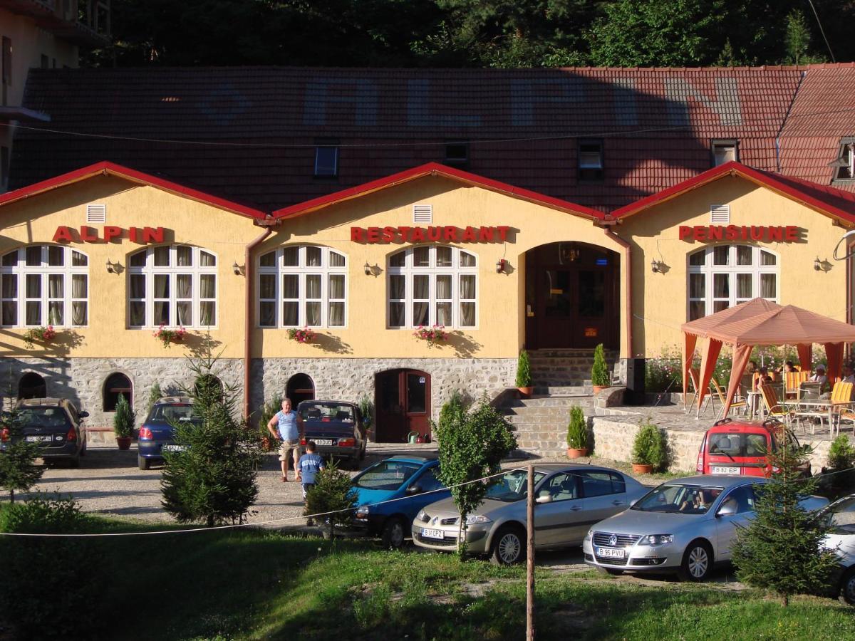 Pensiunea Alpin - Chambres d’hôtes Păltiniș