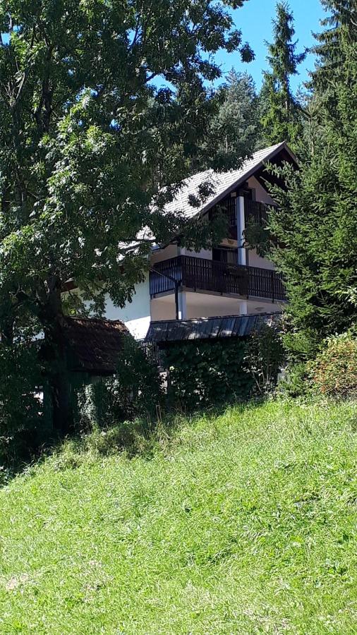 Apartment Dobnikar - B&B