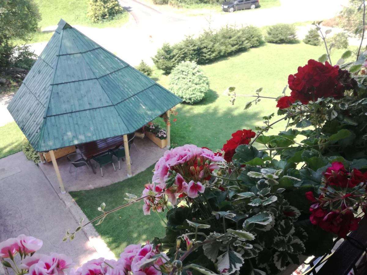 Dusa Zlatibora - Ferienwohnung Zlatibor