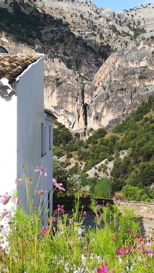 Saluda Alta - B&B