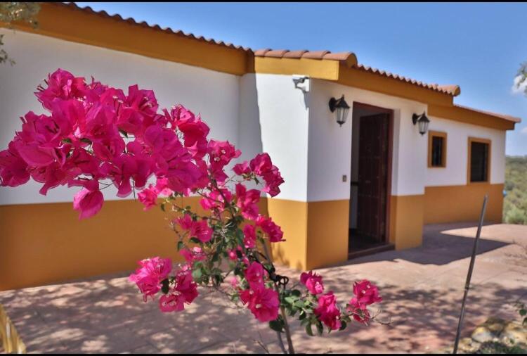 Finca la cigarra - B&B