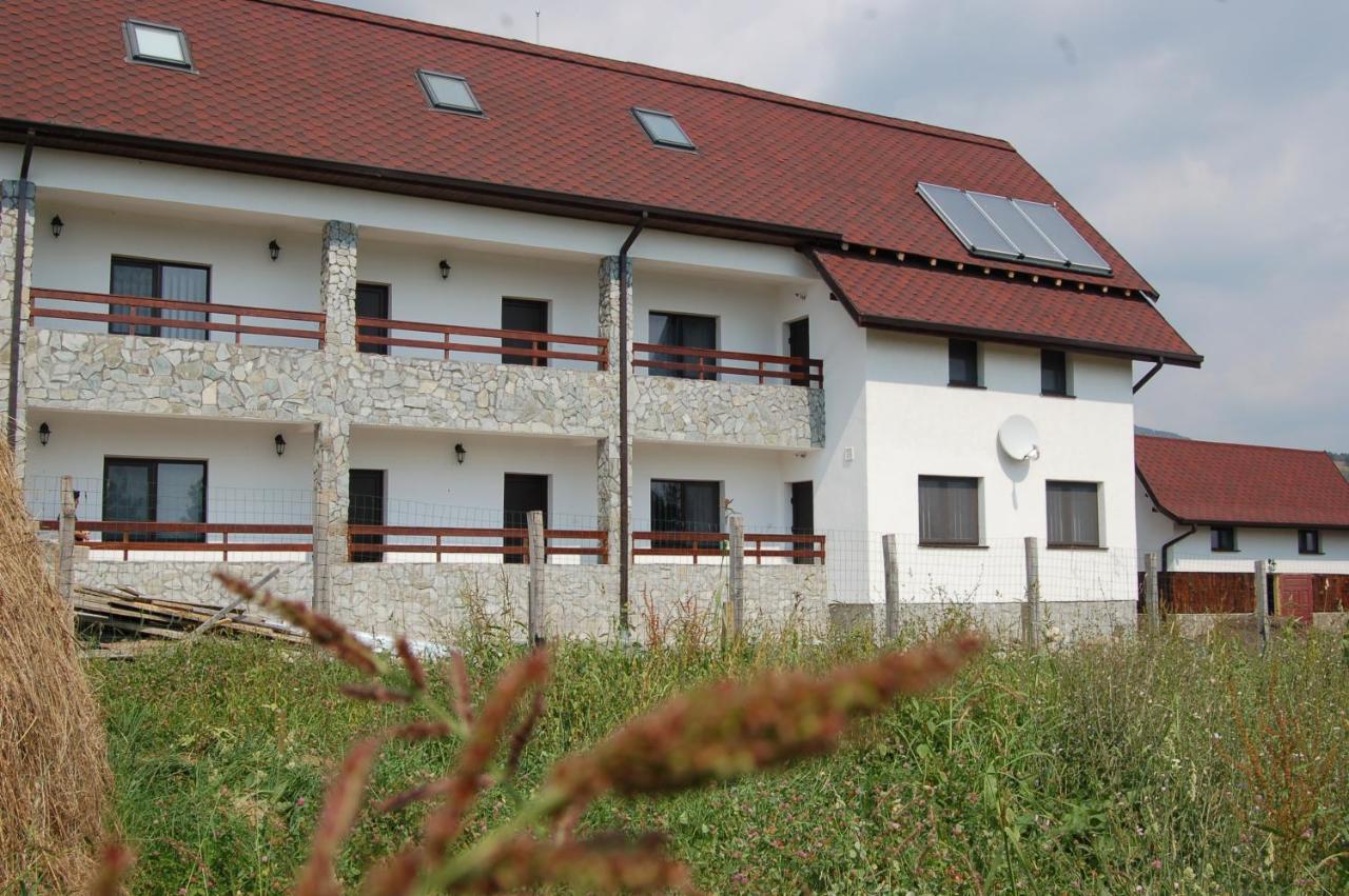 Pensiunea Bogdan - B&B