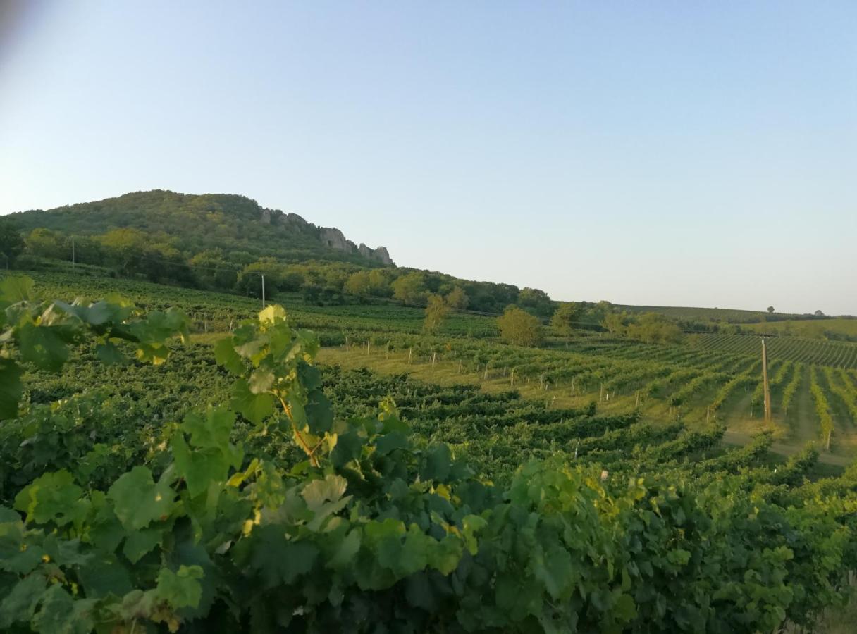 Appartamento Monolocale