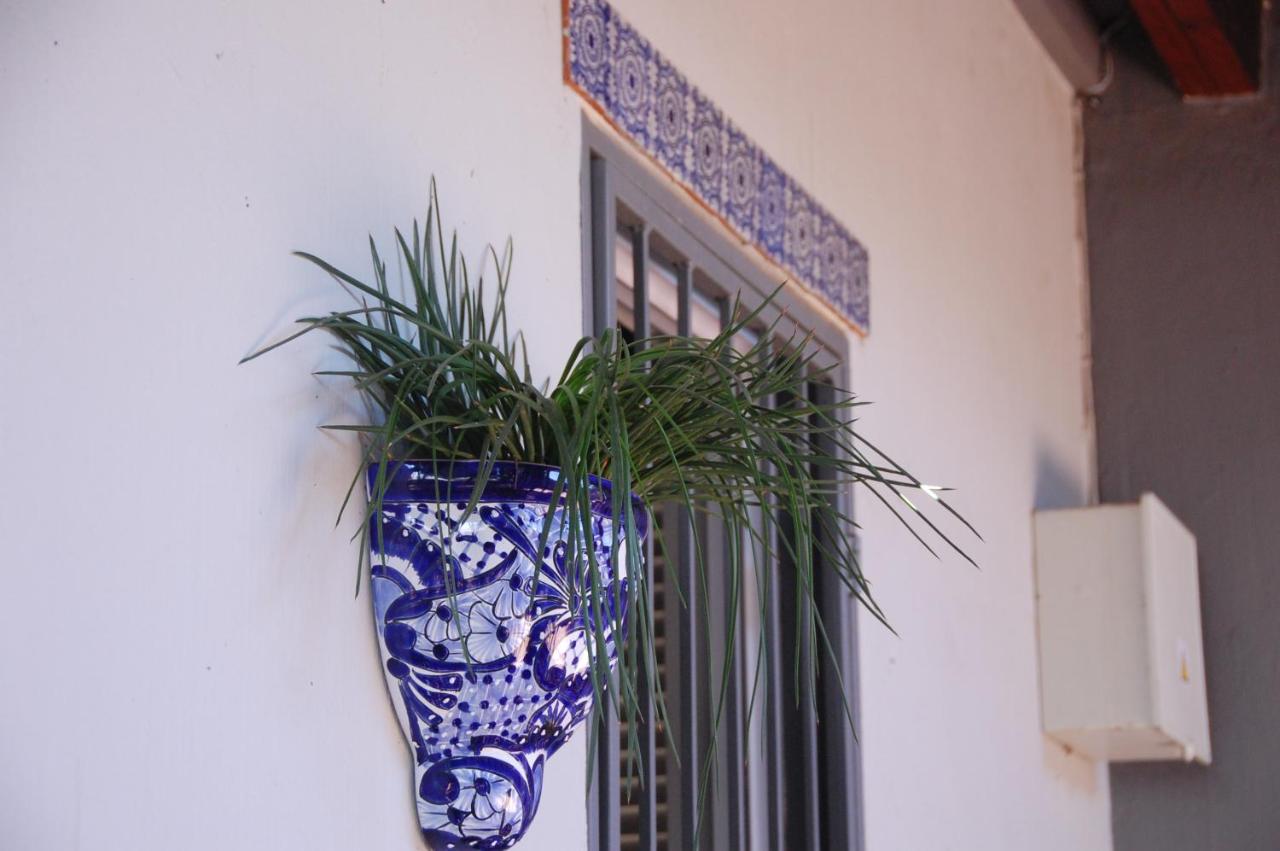 Villa 1 Chambre