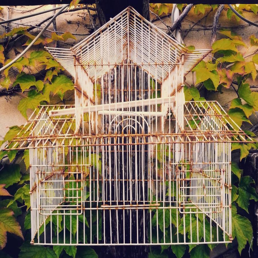 Piano21 - B&B