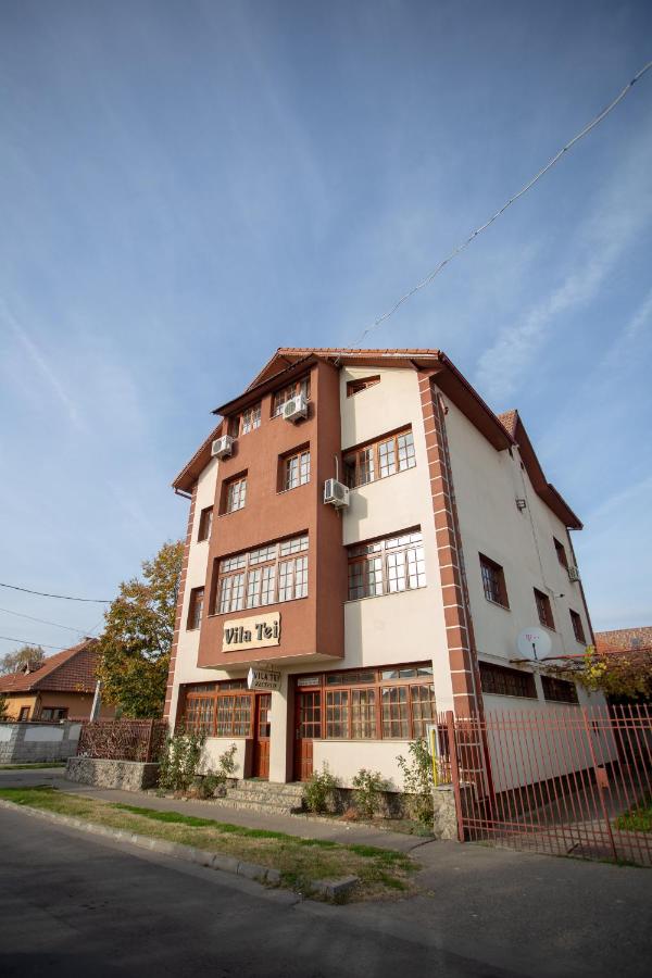 Vila Tei GuestHouse - B&B Târgu Jiu