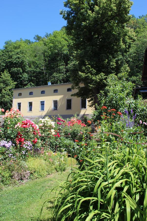 B&B Misnia - Ferienwohnung Goldgrund - Bed and Breakfast Misnia