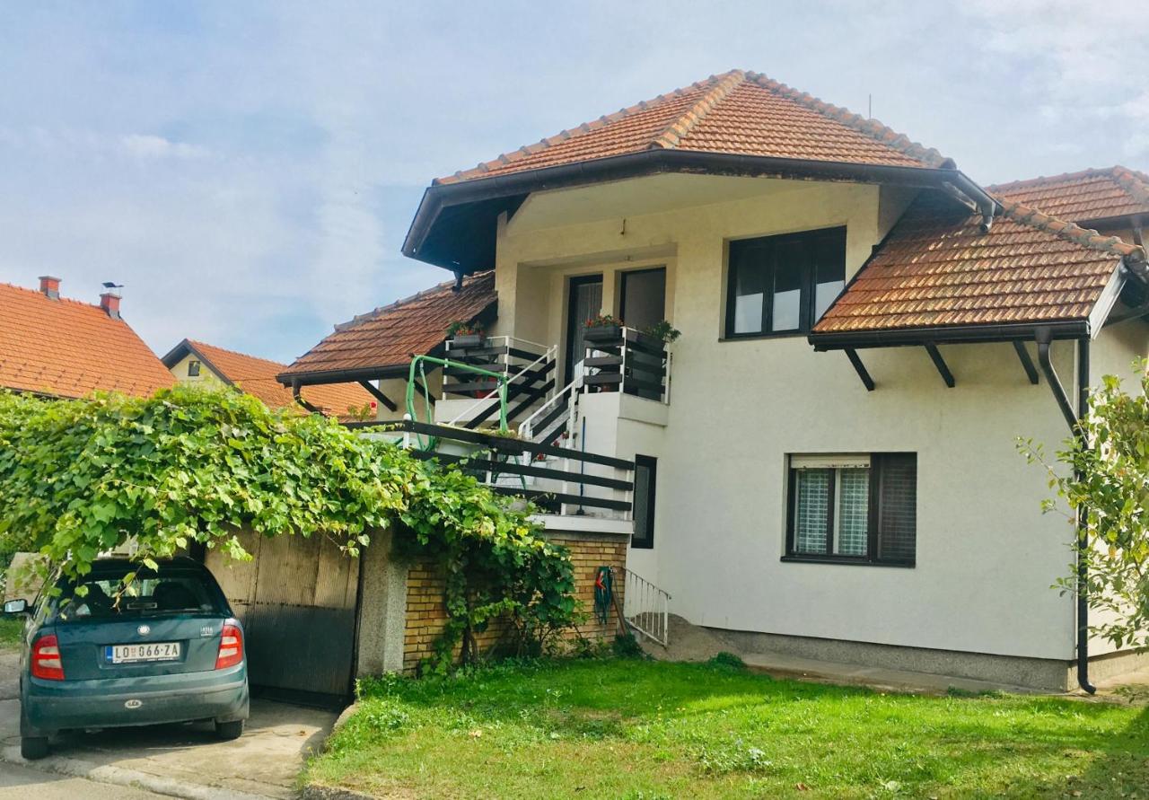Stan na dan Loznica - Bed and Breakfast Loznica