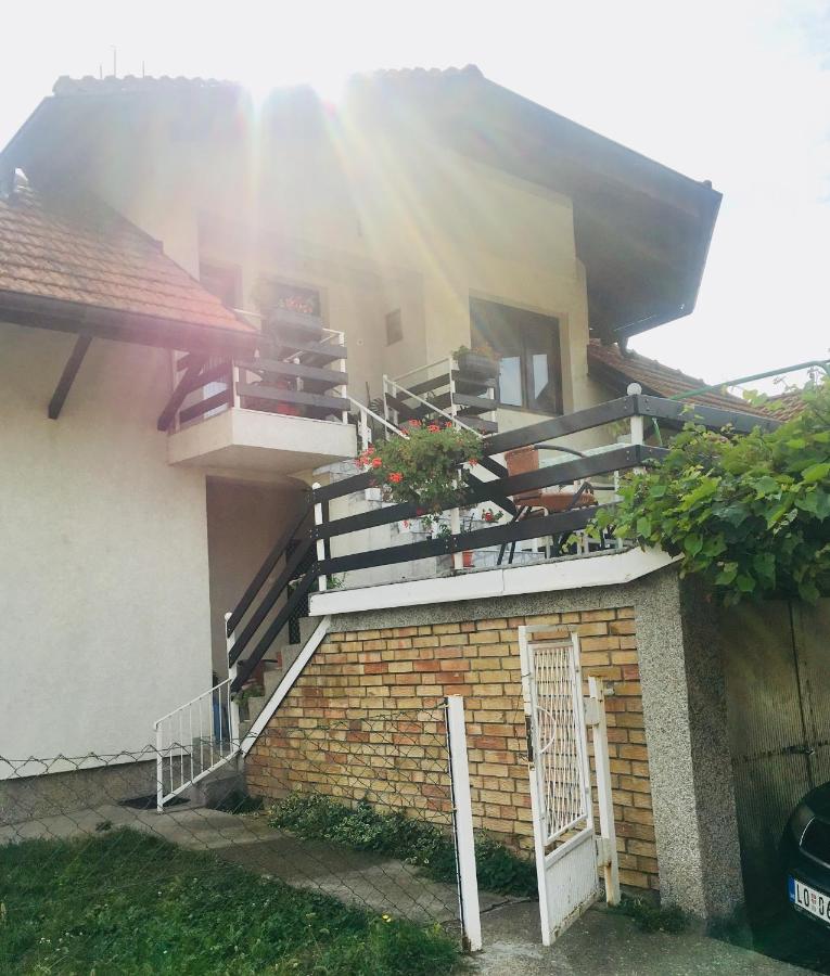Stan na dan Loznica - Bed and Breakfast