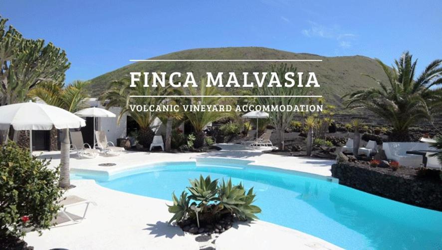 Finca Malvasia Rural Estate & Vineyard - B&B Tías