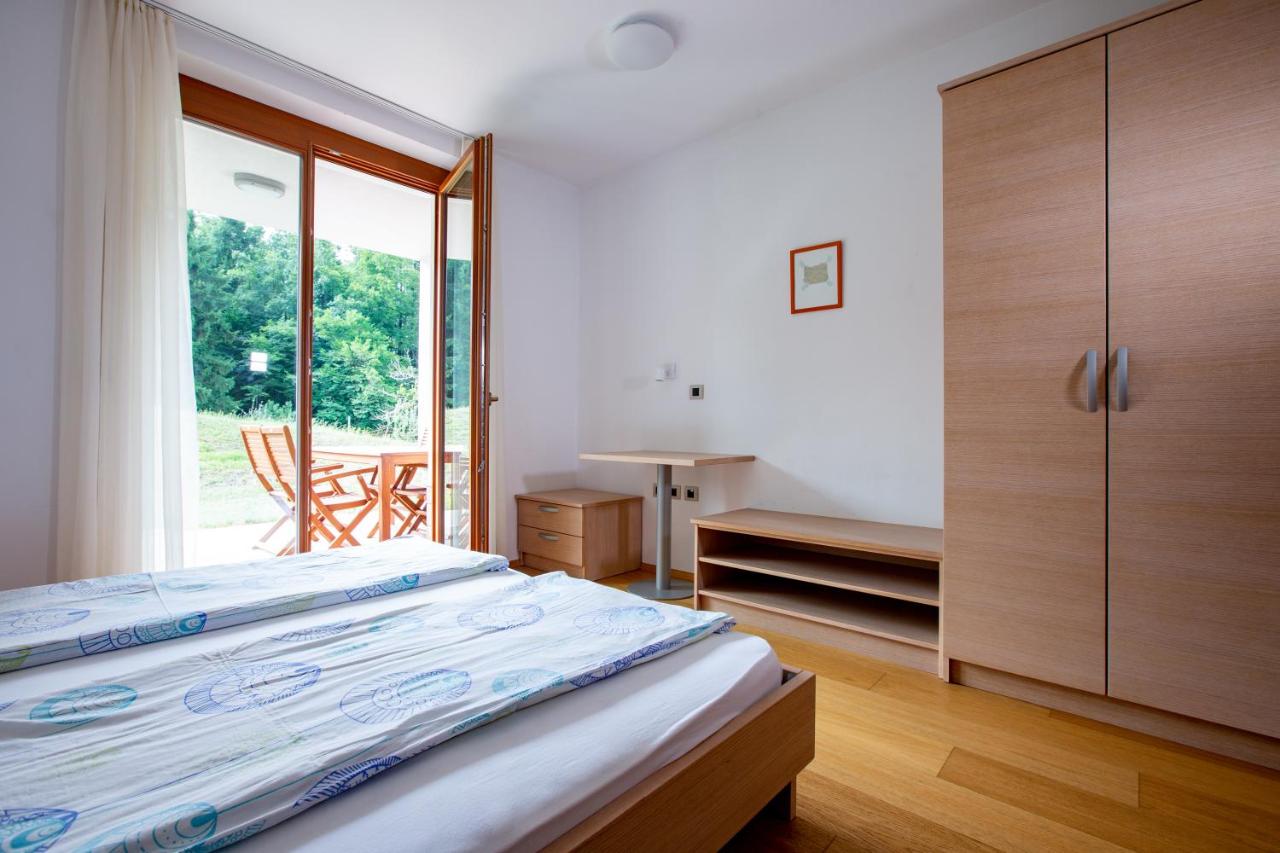 Apartment mit 2 Schlafzimmern und Terrasse