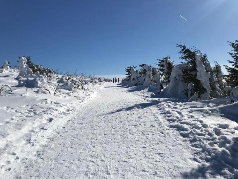 Apartment mit 1 Schlafzimmer