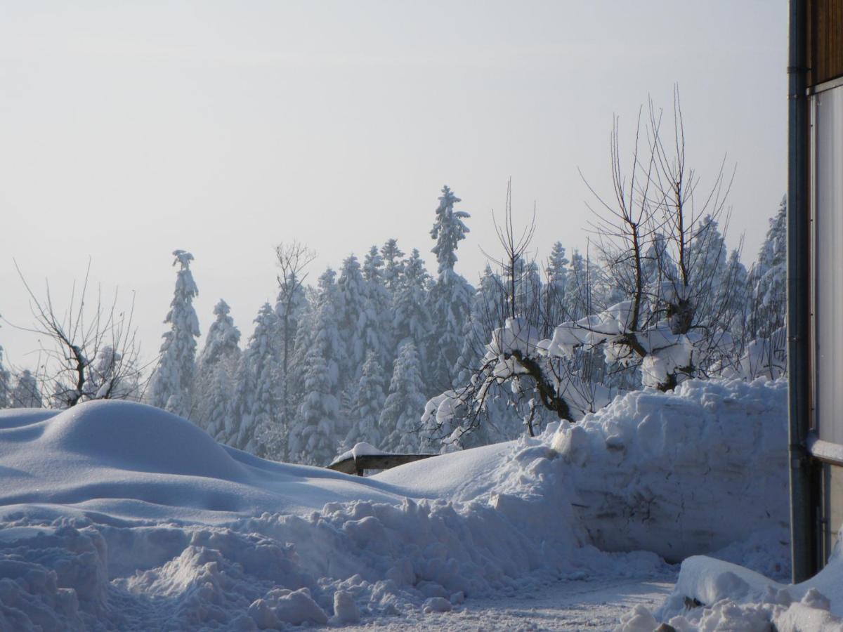 Habitación Cuádruple con baño compartido y vistas al jardín