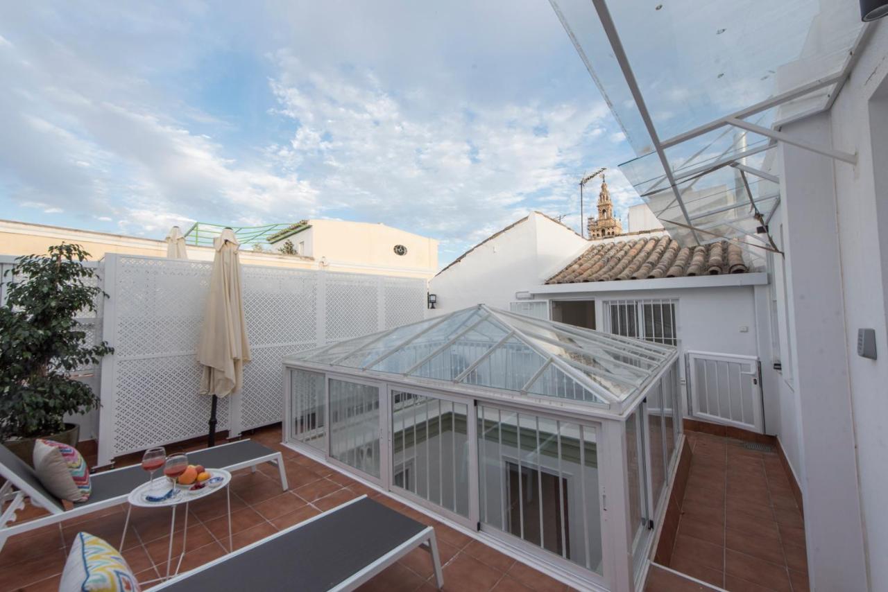 Penthouse Apartment with private terrace