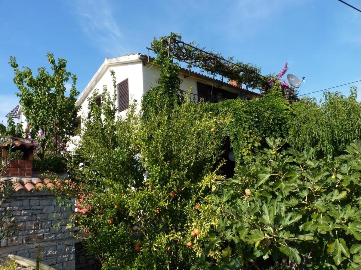 Apartment Zeljko - B&B