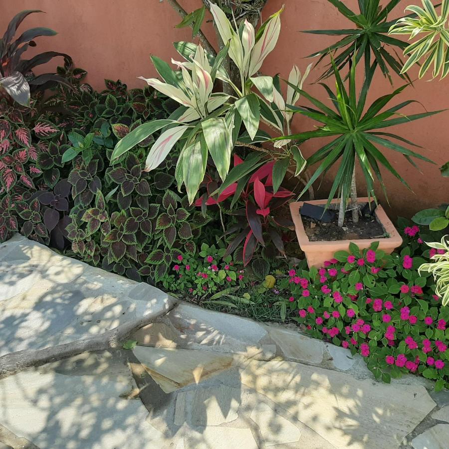 Ecco House Buzios - B&B