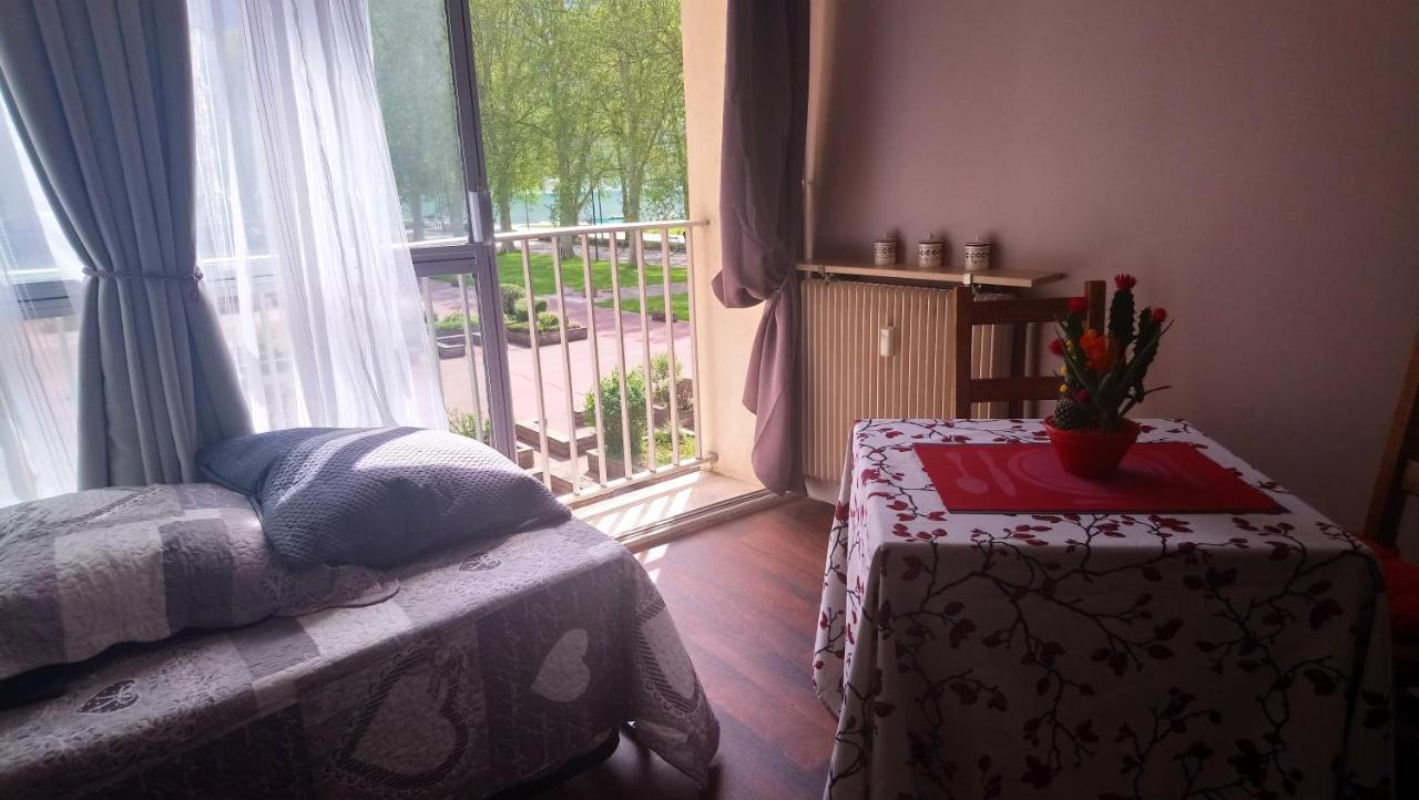 Résidence Albigny Studio Vue Sur Lac Centre-ville d'Annecy - Chambres d’hôtes Annecy