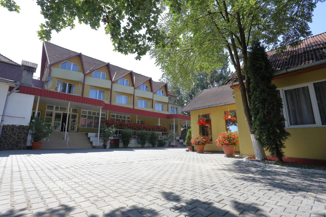 B&B Gorneşti - Pensiunea Grandlion - Bed and Breakfast Gorneşti